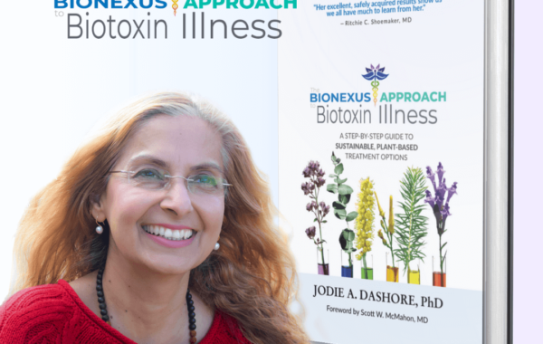 bna_to_bi_book_cover_dr_jodie_a_dashore-square-1